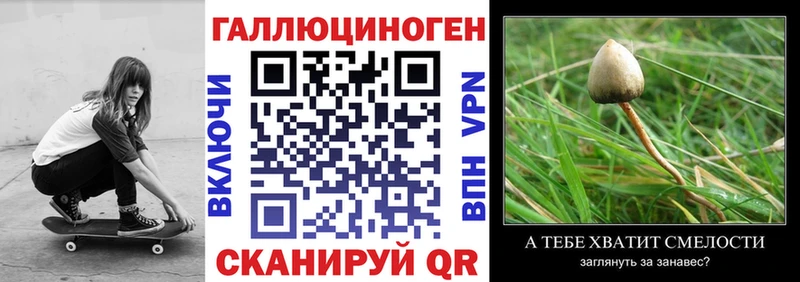что такое   Воткинск  Галлюциногенные грибы Psilocybe 